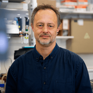 Miguel Prudêncio Miguel Prudêncio